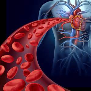 Is Heart Disease wrongly named?
