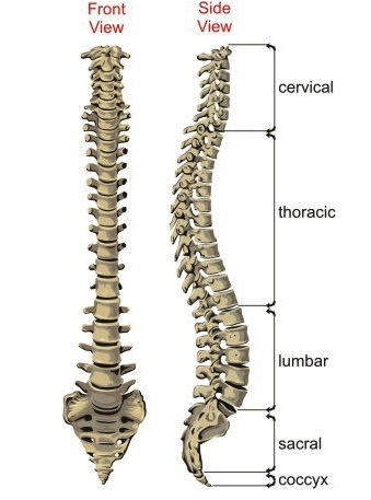 Tips to achieve healthier and stronger spine